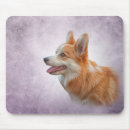 Search for corgis electronics Animals