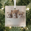 Search for pembroke welsh corgi christmas tree decorations Canine