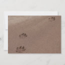 Search for beach dog invitations Animal