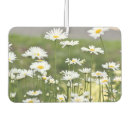 Search for daisy car air fresheners Nature