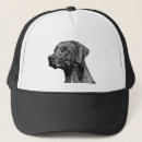 Search for doberman hats Canine