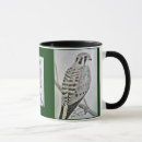 Search for kestrel mugs Sparrow hawk