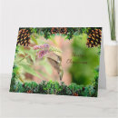 Search for hummingbird christmas cards Animal
