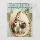 Search for easter lily postcards Bunny