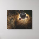 Search for sloth canvas prints Smithsonian
