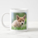 Search for queens corgi mugs Canine