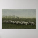 Search for sheep posters Wool