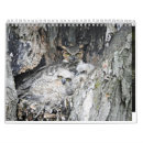 Search for bird calendars Nature