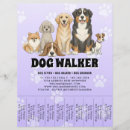 Search for promote dog walking flyers Promotional