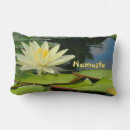 Search for lily pad cushions Lilypads