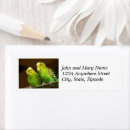 Search for parakeet return address labels Bird