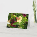 Search for trumpeter cards Trumpets