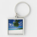 Search for the sand key rings Palm tree