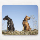 Search for direction mousepads Horizontal