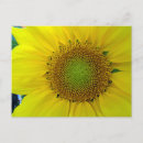 Search for summer holiday postcards Yellow
