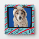 Search for terrier plaques Jack russell terrier