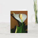 Search for peace flower cards Floral