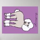 Search for standard poodle posters Pets