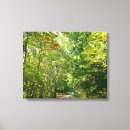 Search for centennial art Nature