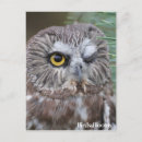 Search for sawing vertical postcards Bird