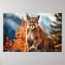 Search for puma art Animal