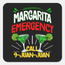 Search for emergency stickers Fiesta