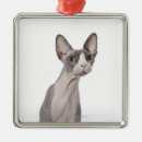 Search for sphynx cat christmas tree decorations Cats