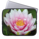Search for pink waterlily electronics Flower