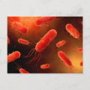 Search for flagellation postcards Magnification