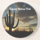 Search for cactus barware Photography