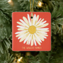 Search for white daisy Yellow