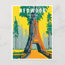 Search for redwood national park postcards Retro
