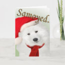 Search for samoyed christmas cards Xmas