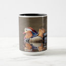 Search for mandarin duck mugs Wildlife