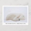Search for manitoba cards Snow
