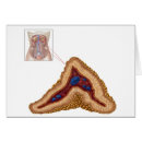Search for gland Physiology