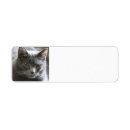 Search for grey cat return address labels Pet