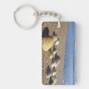 Search for sea shells key rings Beach