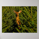 Search for christmas deer art Tree