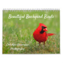 Search for robin bird calendars Cardinal