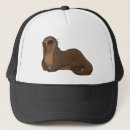 Search for otter baseball caps Mammal