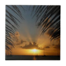 Search for seascape tiles Tropical