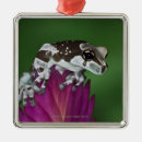 Search for milk christmas tree decorations Animals