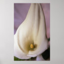 Search for easter holiday art Nature