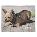 Search for chihuahua office supplies Funny