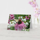 Search for swallowtail butterfly cards Floral