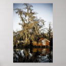 Search for swamp posters Louisiana
