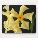 Search for jasmin mousepads White