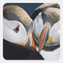 Search for puffin crafts party Beak
