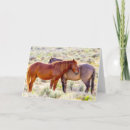 Search for danita delimont cards Jaynes gallery